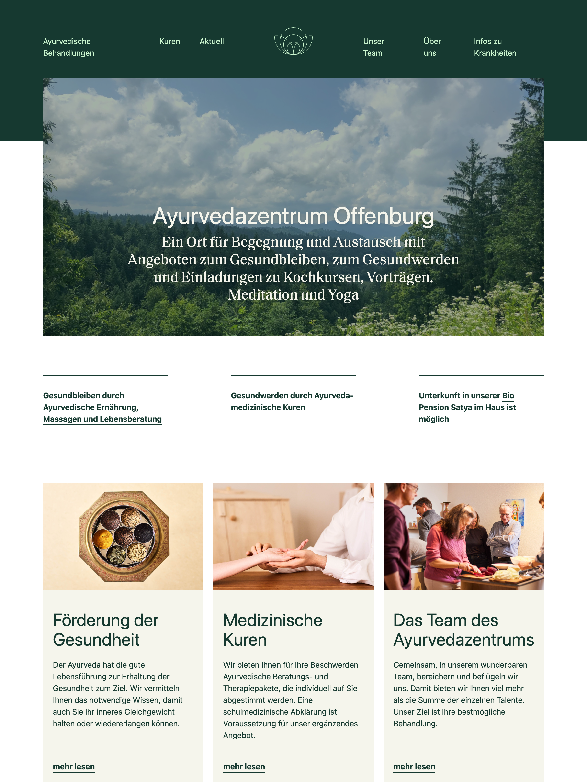 Screenshot of ayurveda-offenburg.de